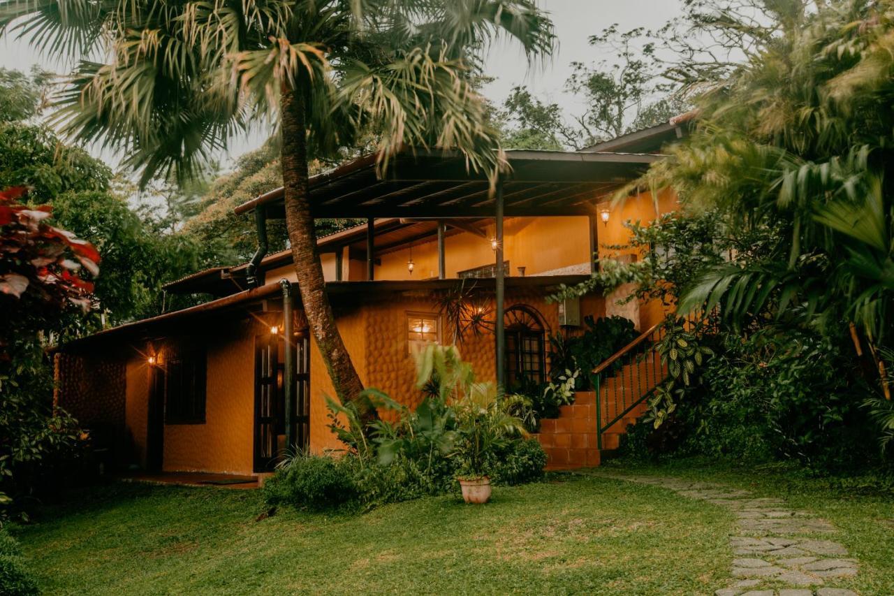 The Golden Frog Inn El Valle de Anton ภายนอก รูปภาพ