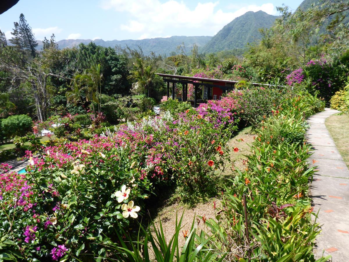 The Golden Frog Inn El Valle de Anton ภายนอก รูปภาพ