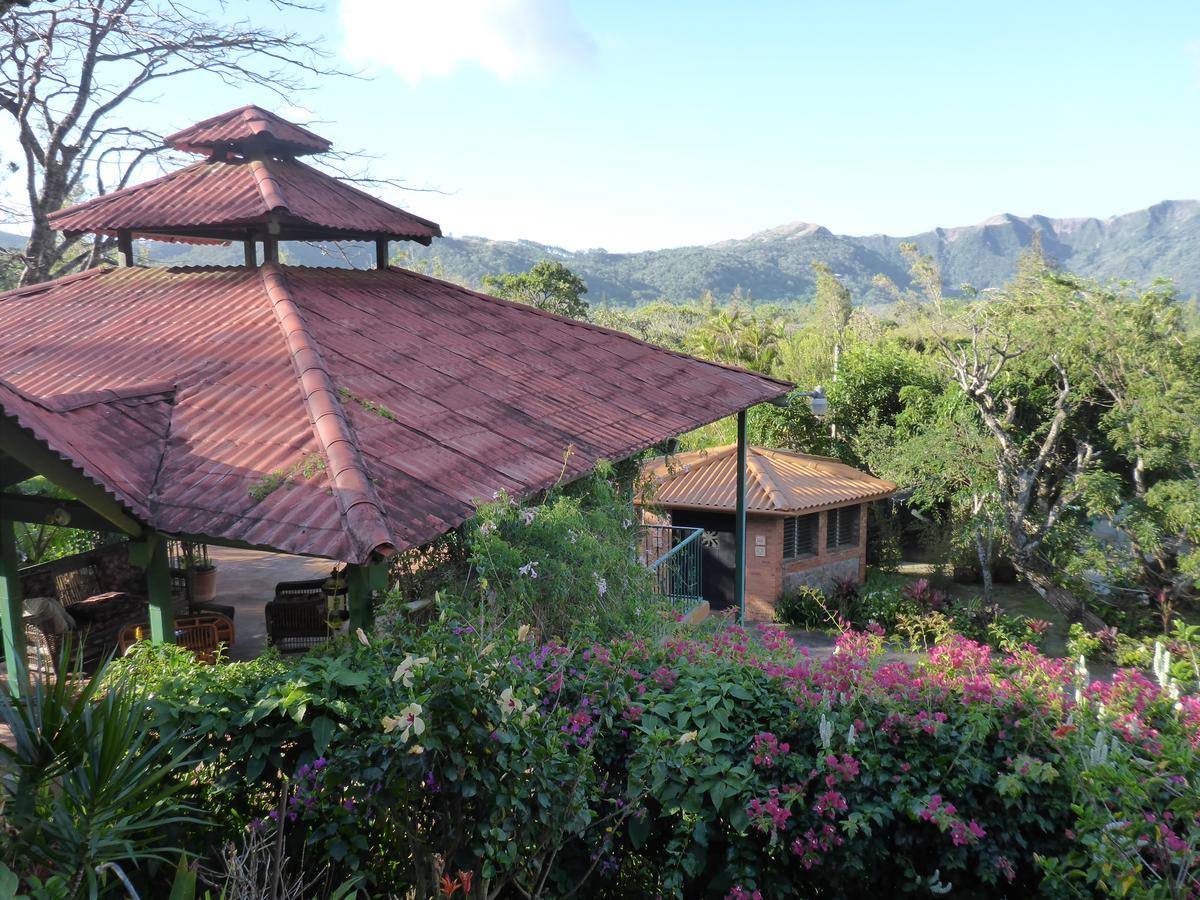 The Golden Frog Inn El Valle de Anton ภายนอก รูปภาพ