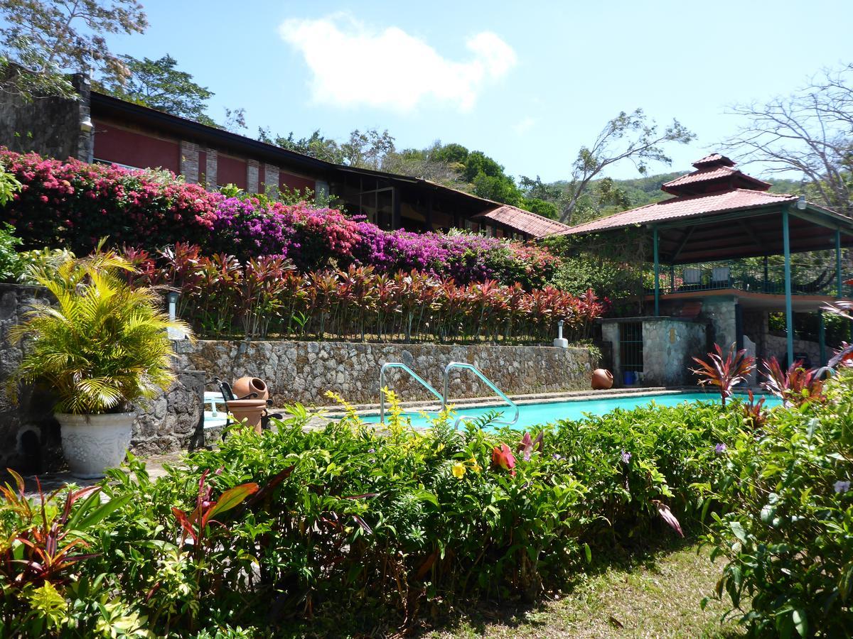 The Golden Frog Inn El Valle de Anton ภายนอก รูปภาพ
