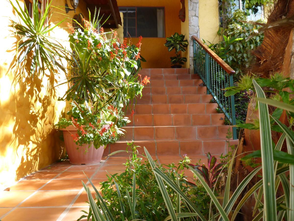 The Golden Frog Inn El Valle de Anton ภายนอก รูปภาพ