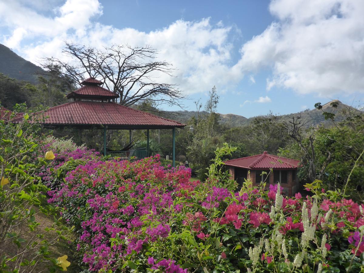 The Golden Frog Inn El Valle de Anton ภายนอก รูปภาพ