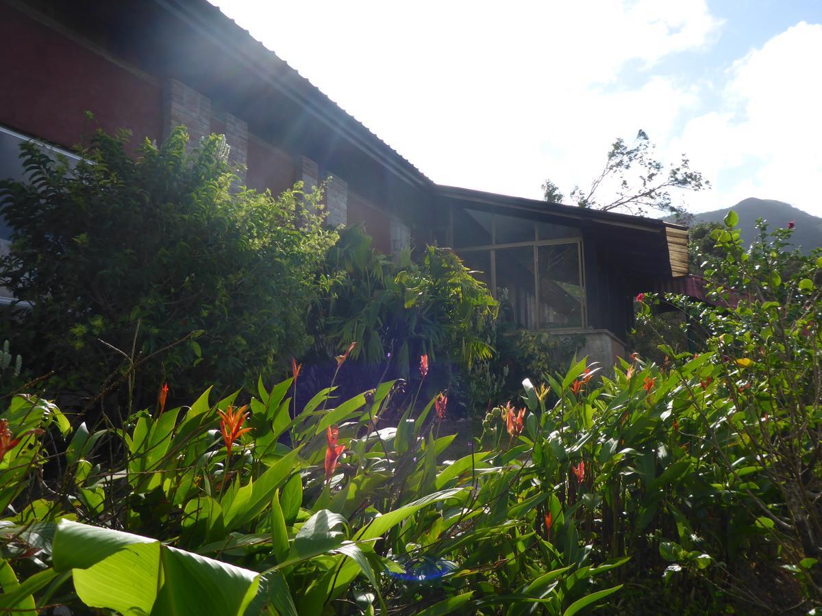 The Golden Frog Inn El Valle de Anton ภายนอก รูปภาพ