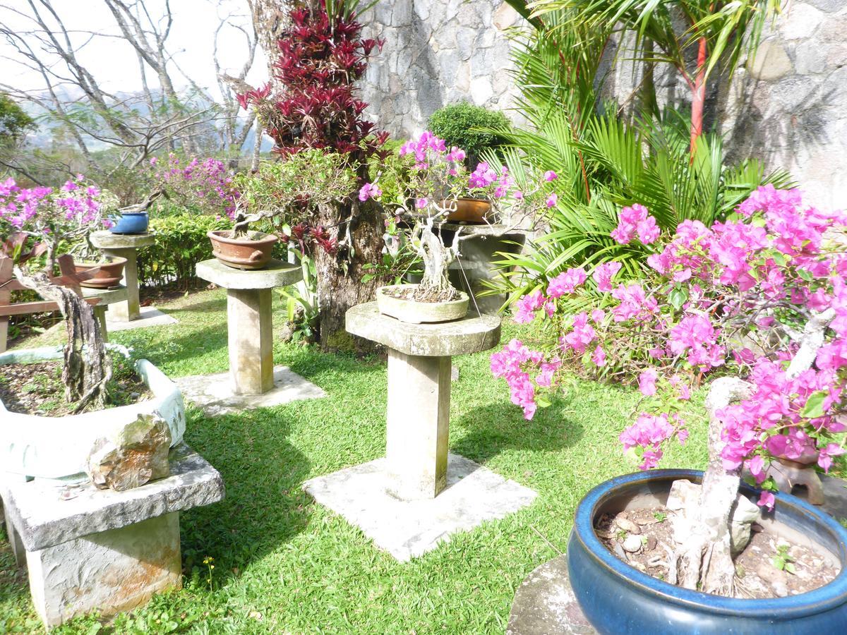 The Golden Frog Inn El Valle de Anton ภายนอก รูปภาพ